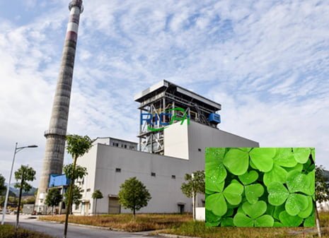 Alfalfa Pellet Production Line