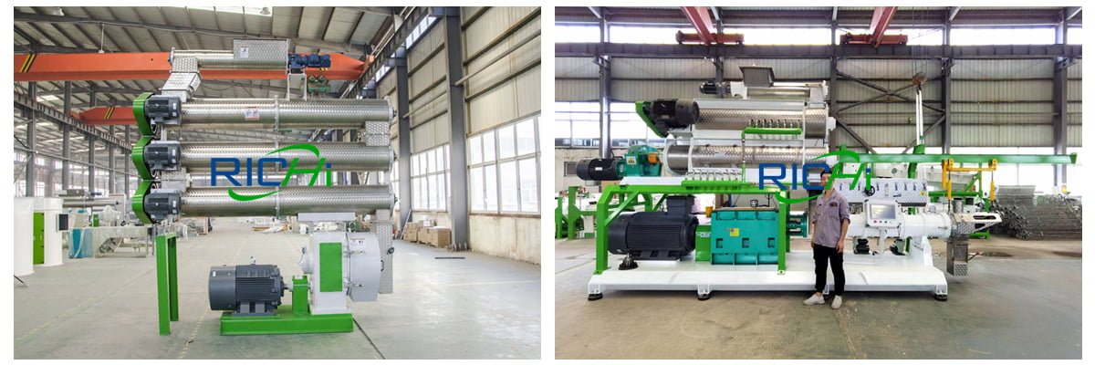 Pelletizing And Extruding System