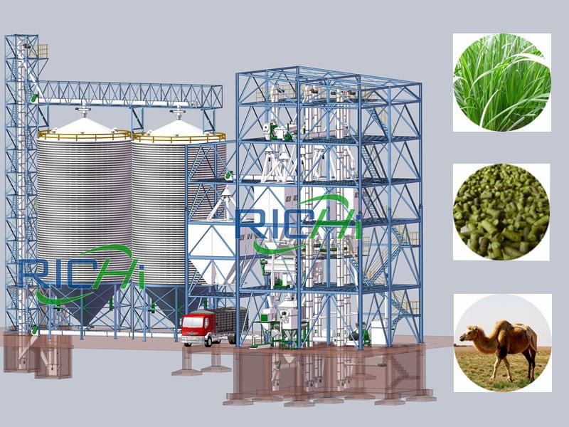 Camel Feed Pellet Production Line