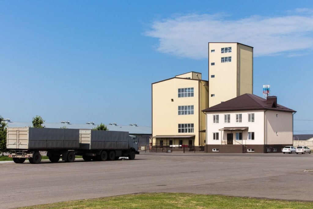 chicken feed mill plant