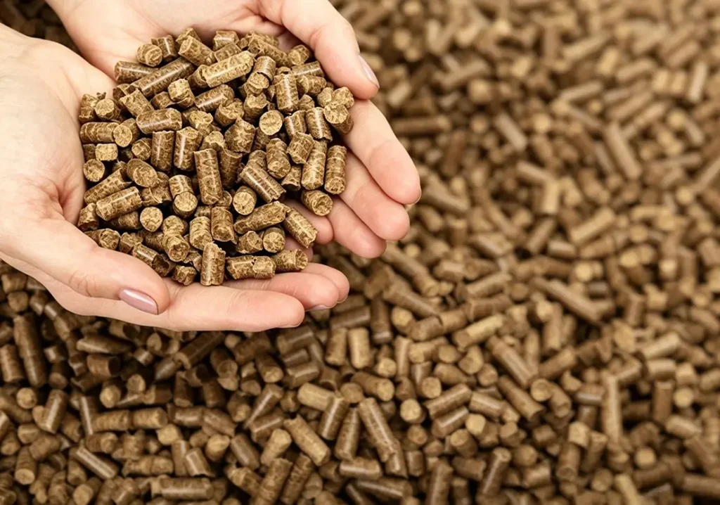 efb pellets on the hand